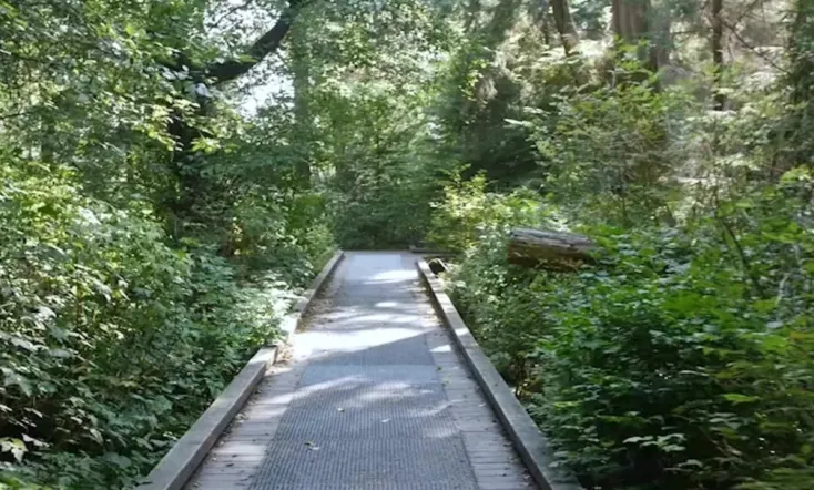 The Lost Vlog of Ruby Real