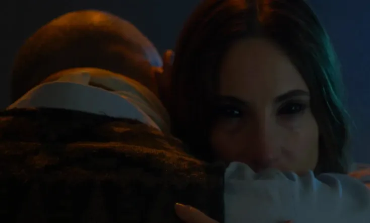 The Shape of the Woods