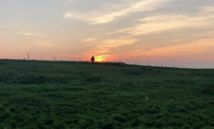 They Who Surround Us