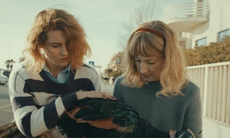 The Peacock’s Paradise