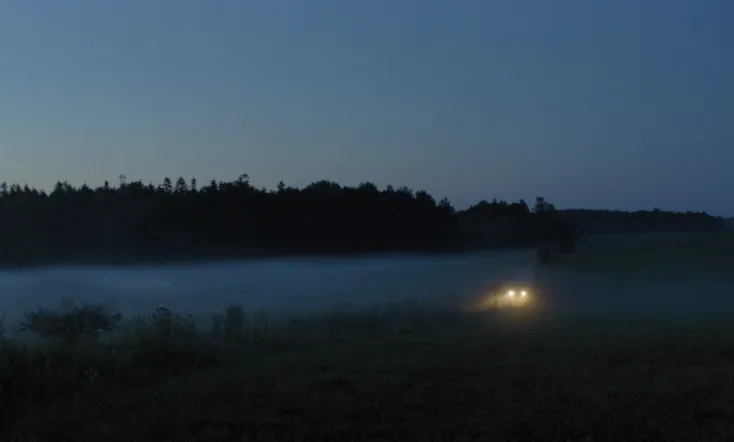 The Dreams Of Lonely People