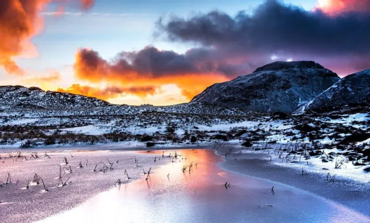 The Lake District: A Wild Year