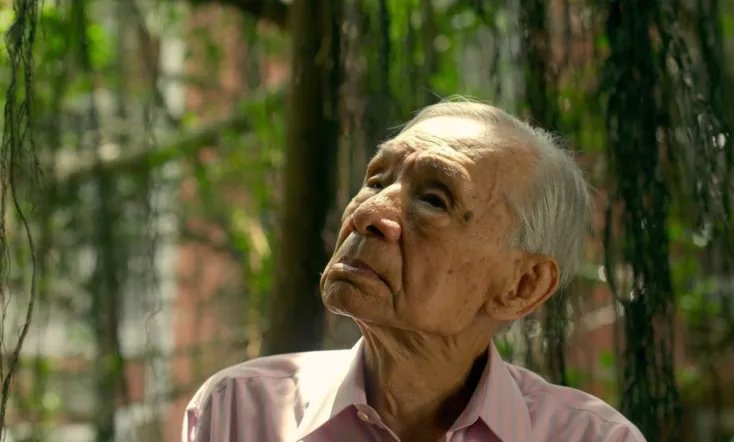 The Moon and the Tree