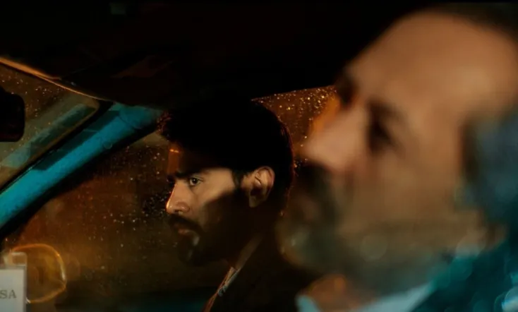 They go out at night