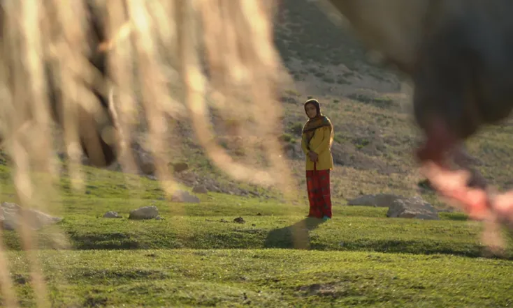 The Dream of a Horse