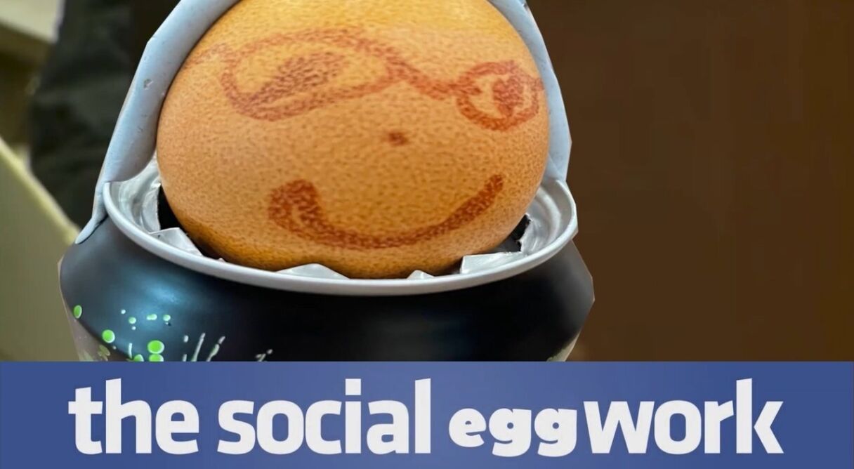 The Social Eggwork