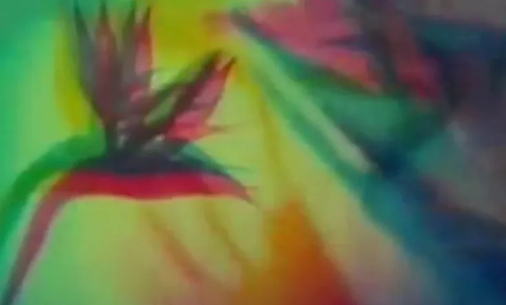 The Psychedelic Experience