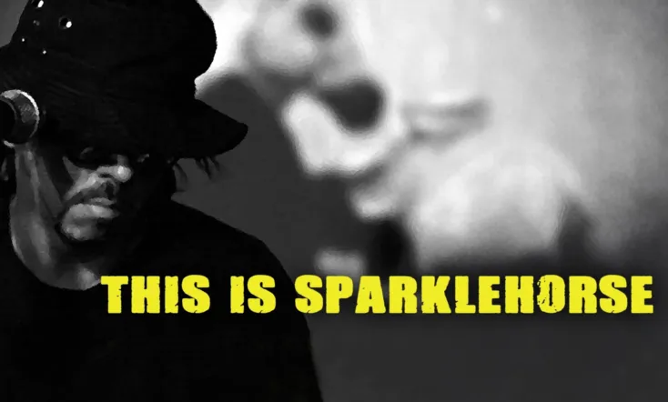 The Sad and Beautiful World of Sparklehorse