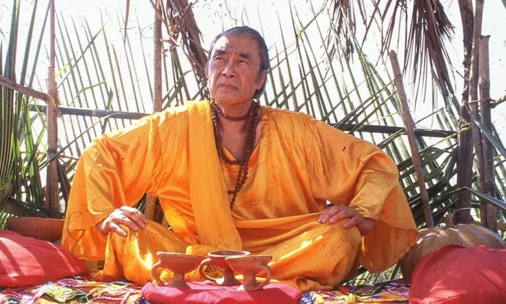 The Wonderland Experience