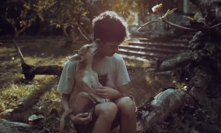 The Gospel of the Beast