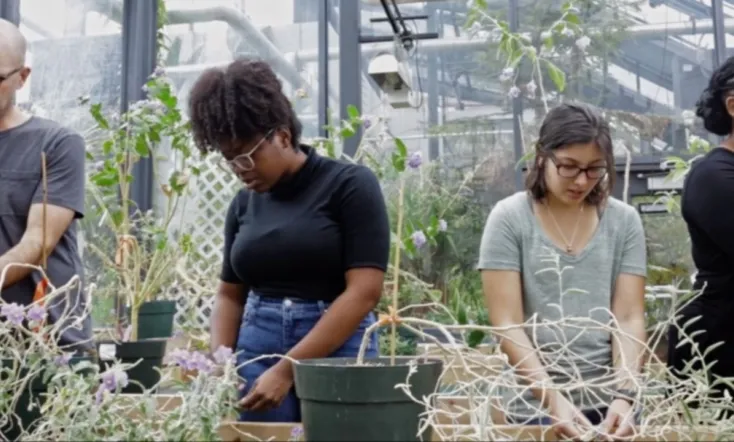 There are things in this world that are yet to be named