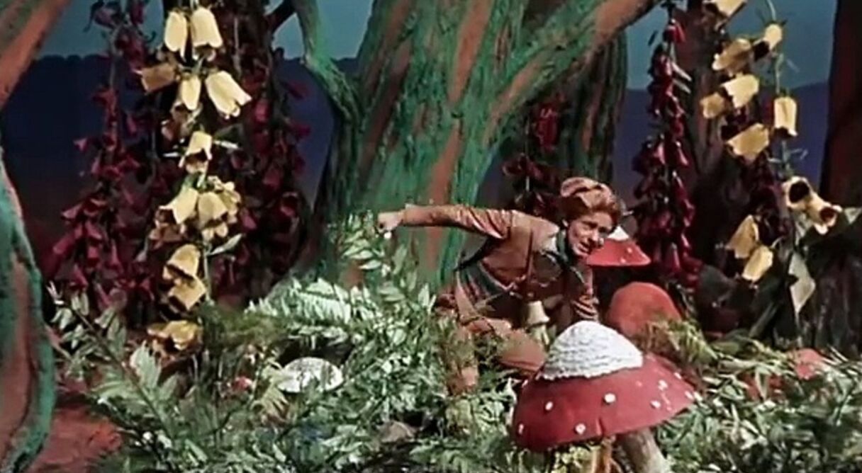 The Brave Little Tailor