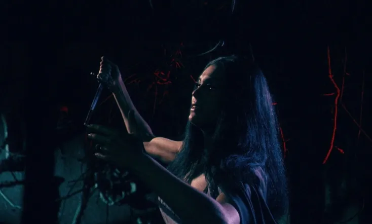 The Whip and the Body