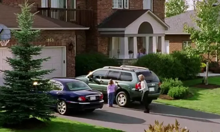 The Perfect Neighbor