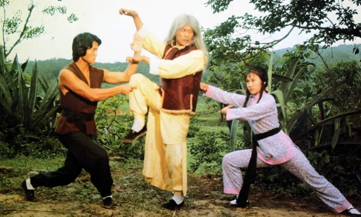 The 36 Deadly Styles