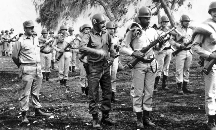 The City and the Dogs