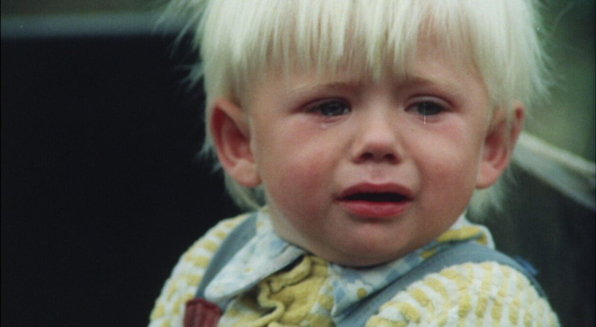 The Snowdrop Festival