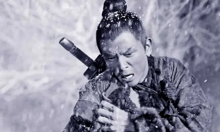 The One-Armed Swordsman