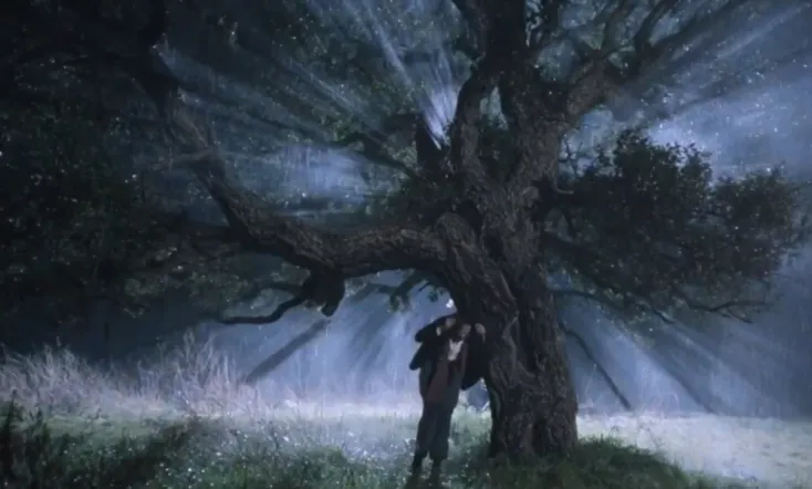 The Voice of the Moon