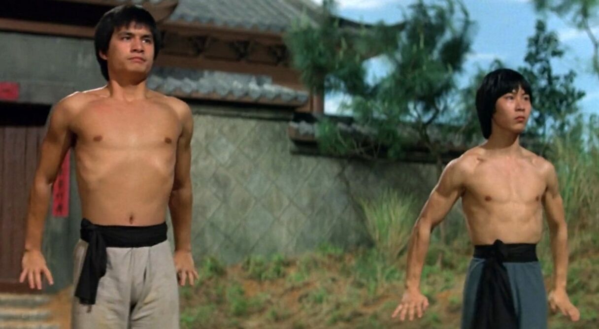 The New Shaolin Boxers