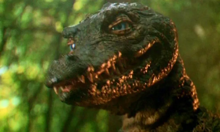 The Legend of Gator Face