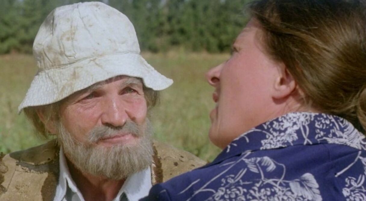 The Fox in the Chicken Coop