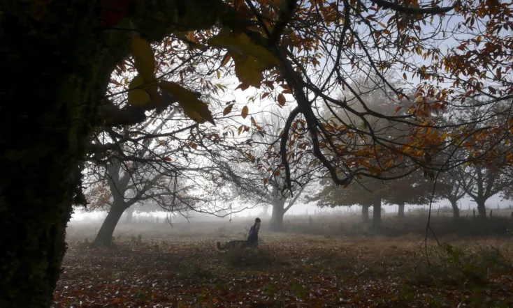 The Sky, the Earth and the Rain