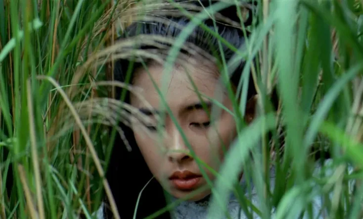 The Figures from Earth