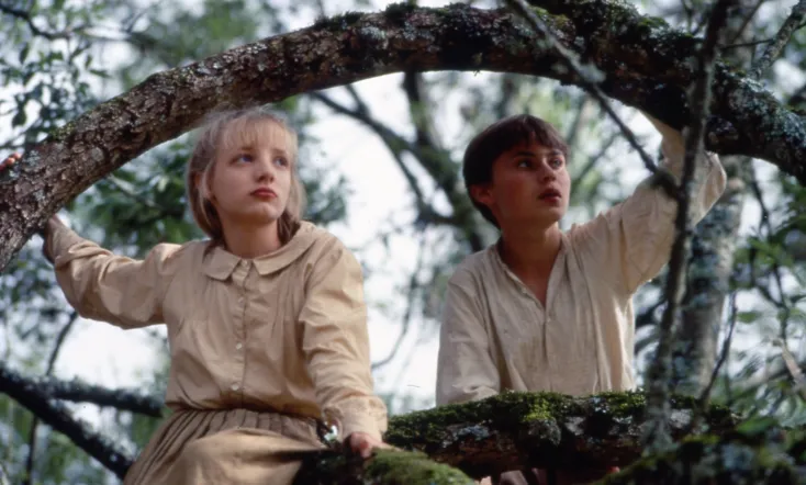 1914 the Glorious Summer