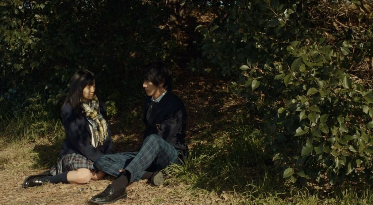 The Cowards Who Looked to the Sky