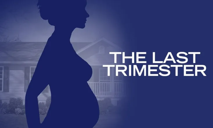 The Last Trimester