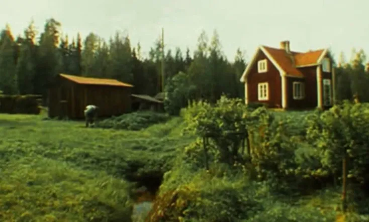 The Old Man in the Cottage