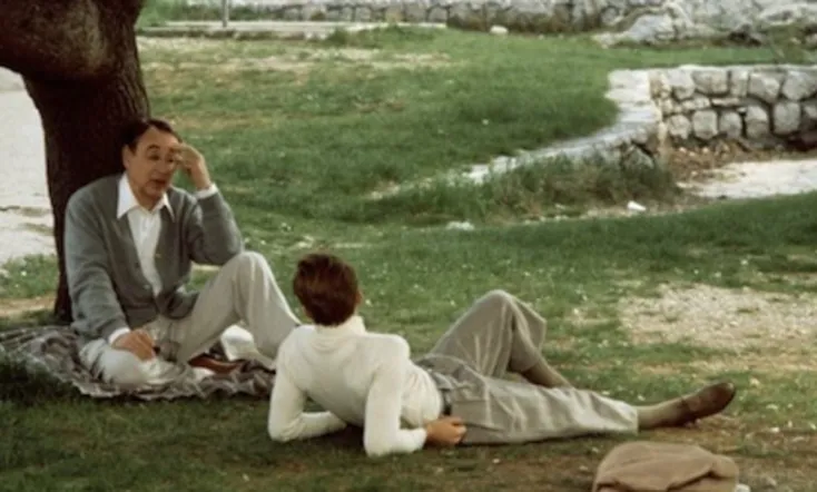 The Gold Rimmed Glasses