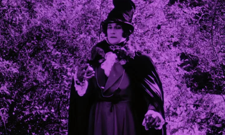 The Adventures of Robert Macaire