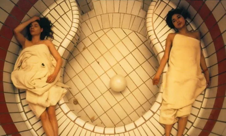 The Girl Who Picks Flowers and the Girl Who Kills Insects