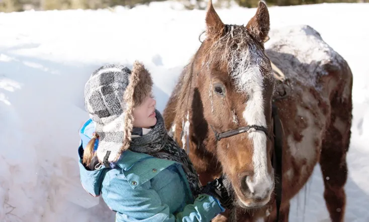 The Horses of McBride