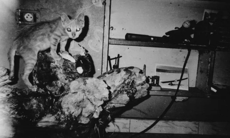 This Day Won’t Last