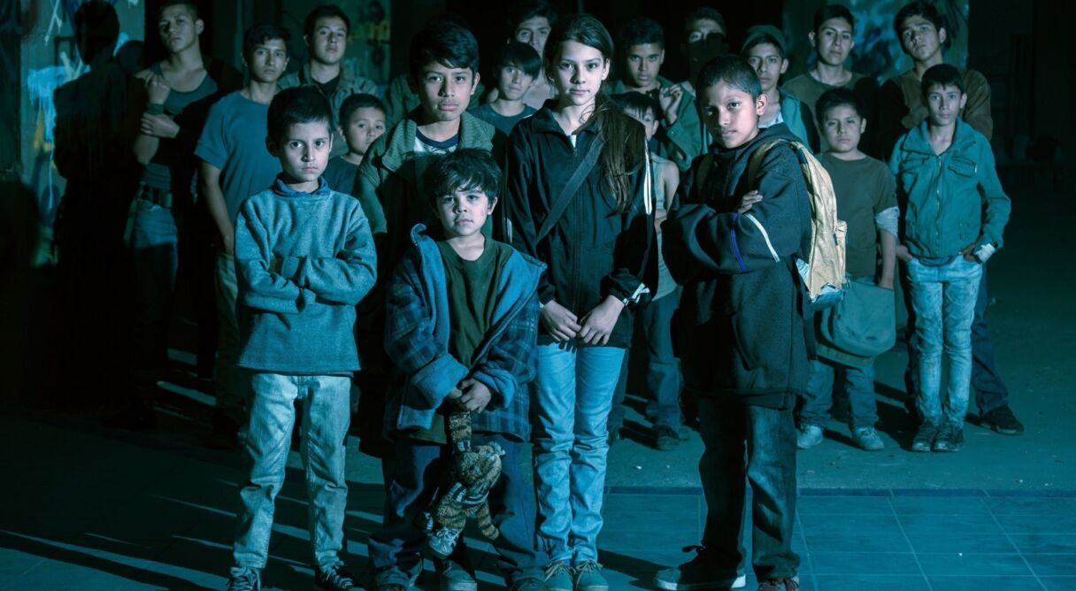 Tigers Are Not Afraid