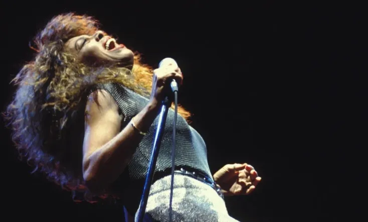 Tina Turner: Celebrate!