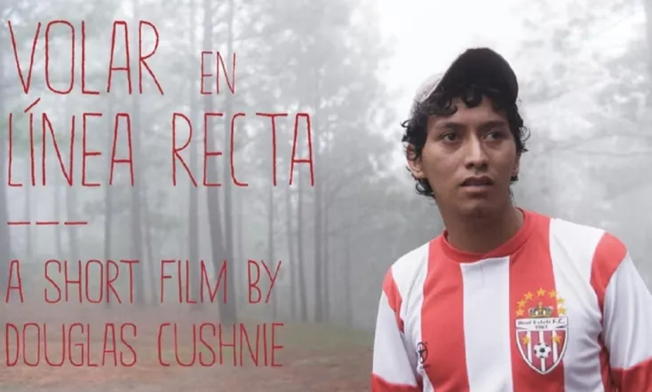 To Fly in a Straight Line