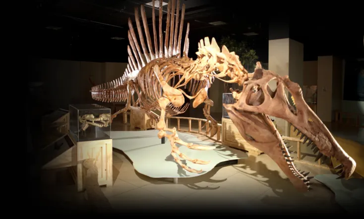 Top 10 Biggest Beasts Ever