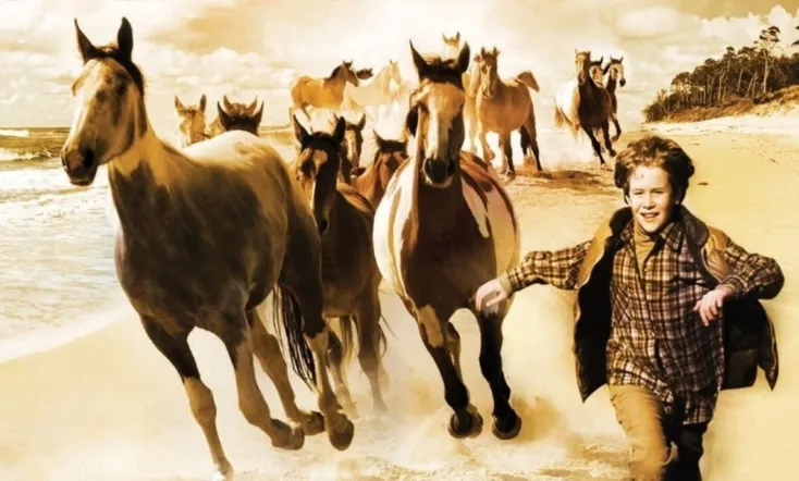 Touching Wild Horses