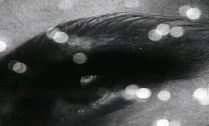 Triptych on Matter and Death