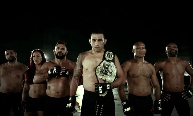 UFC 198: Werdum vs. Miocic