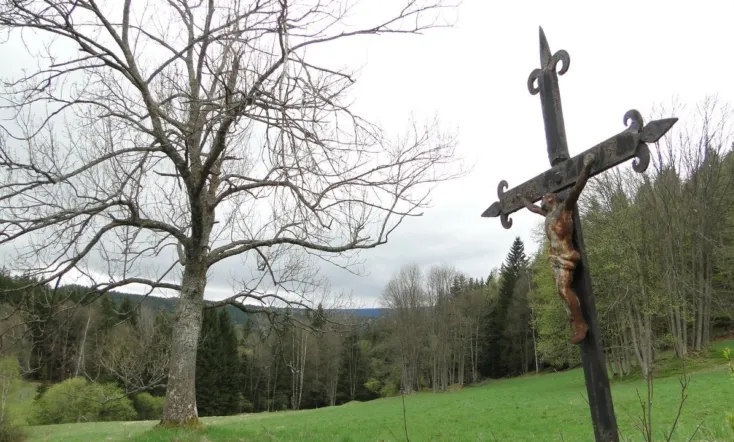 Šumava Vladimíra Horpeniaka