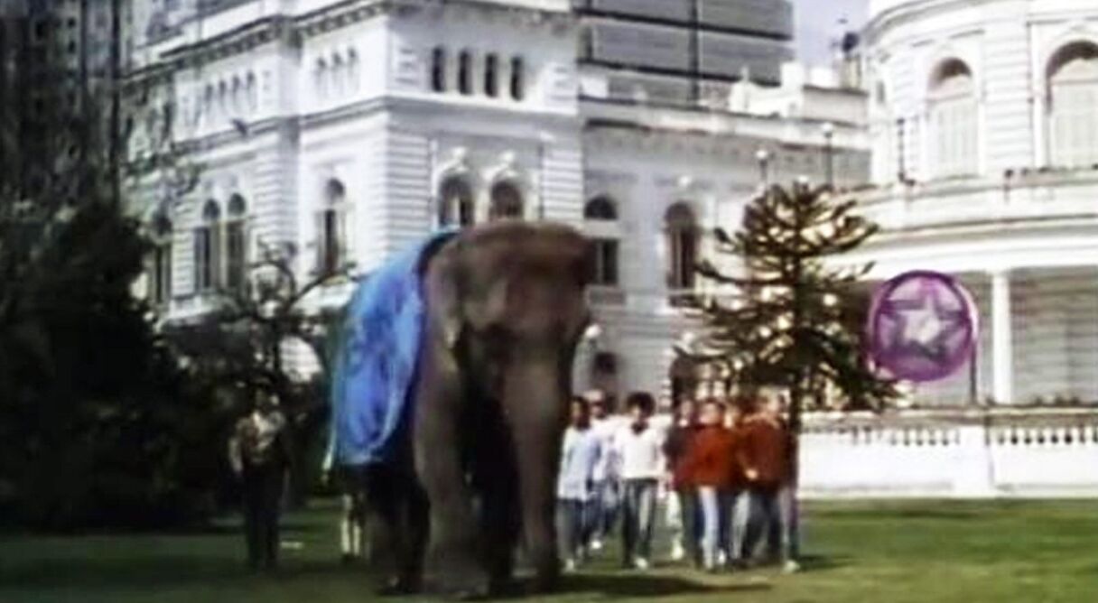 Un elefante en banda