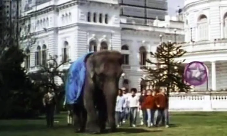 Un elefante en banda