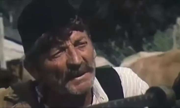 Uninterrupted Melody