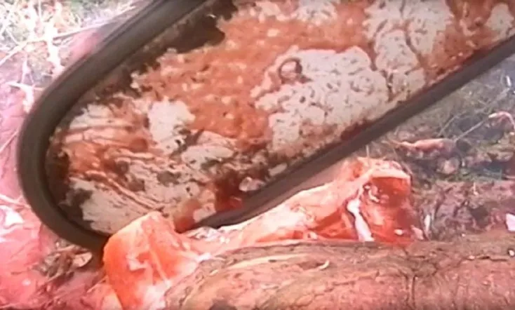 Untot - Kämpfer in der Leichenwelt