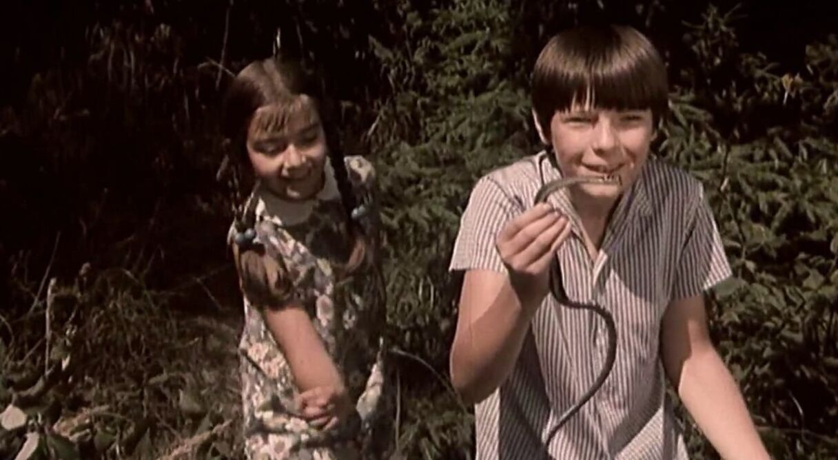 Vacations at Grandma's